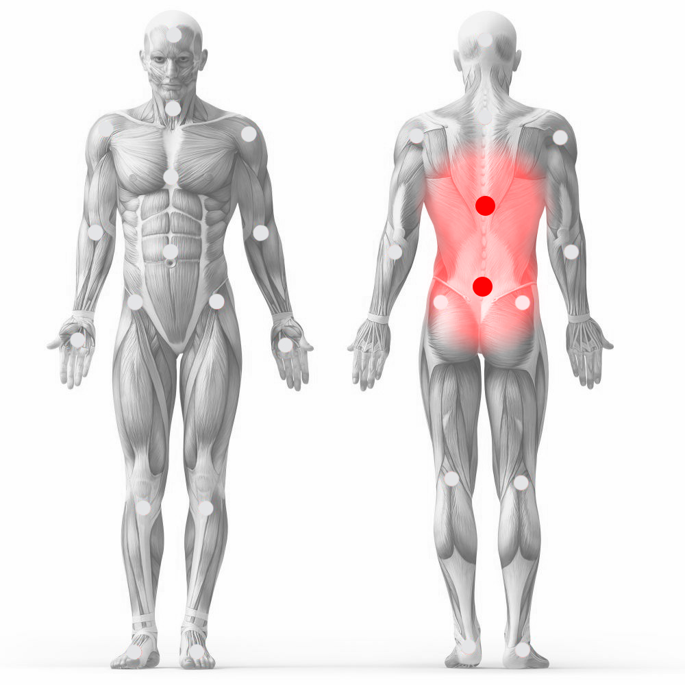 EasyFitt - Hát-, és derékfájás elleni terápiák